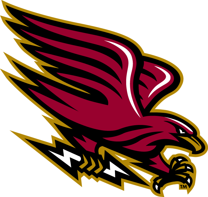 Louisiana-Monroe Warhawks 2006-Pres Alternate Logo v9 diy DTF decal sticker